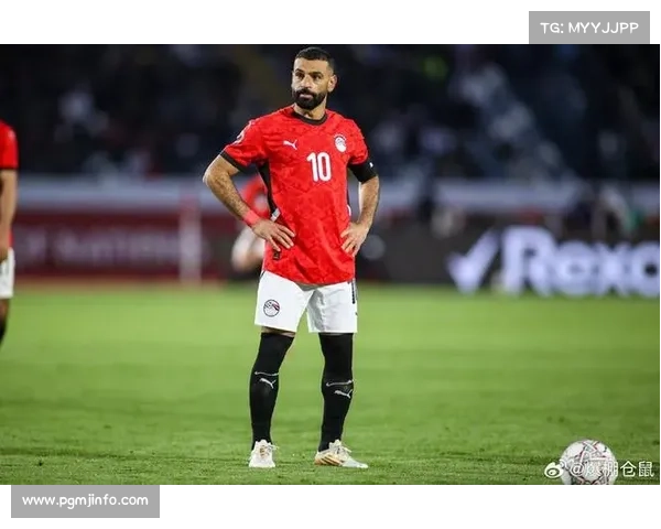 非洲杯季军战：埃及对阵尼日利亚，萨拉赫领衔出战